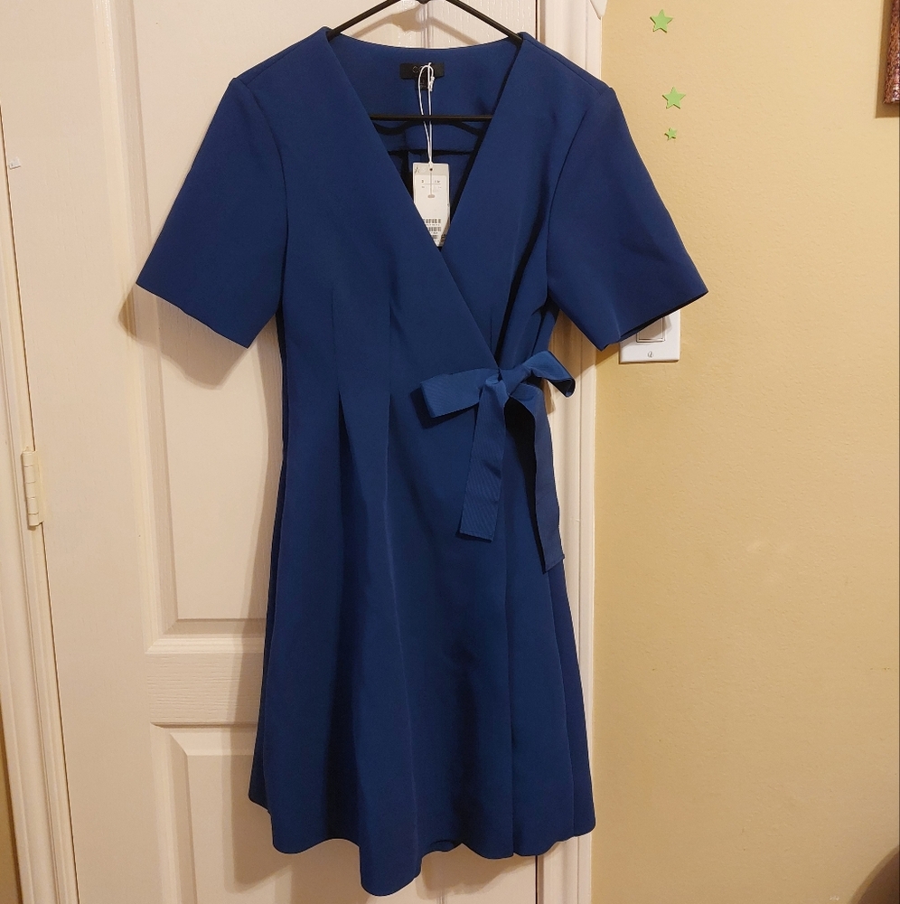 Cos navy dress